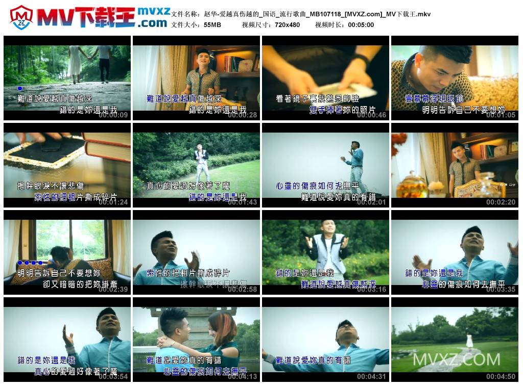 赵华-爱越真伤越的_国语_流行歌曲_MB107118